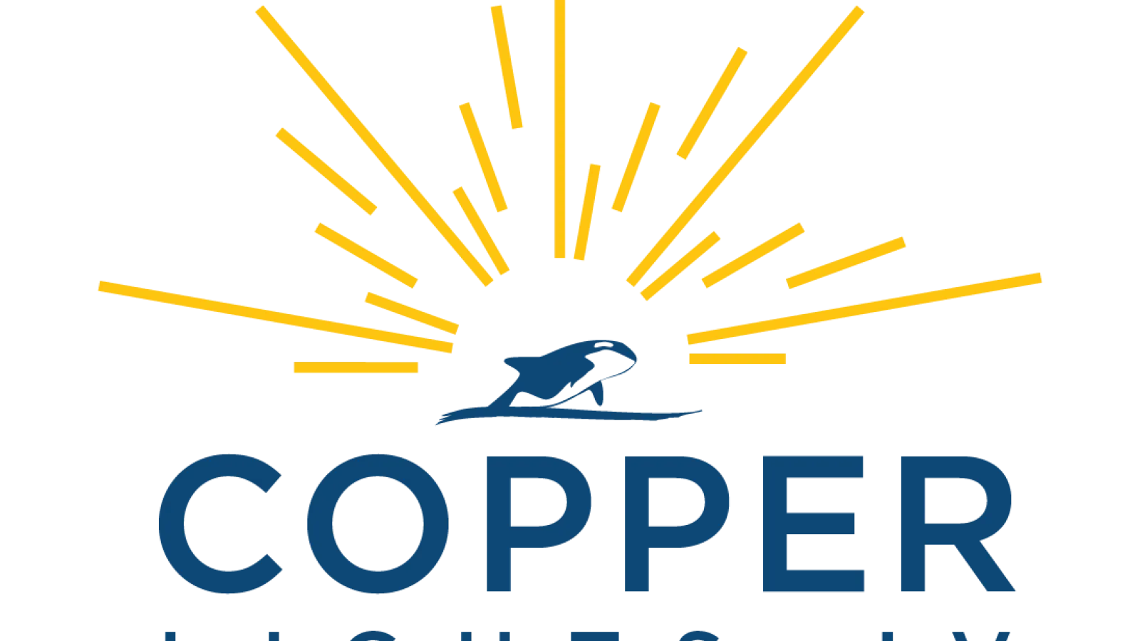 By Light and Copper River form Copper Lights federal IT joint venture
